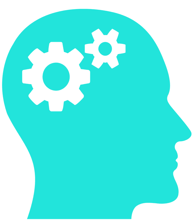 RapidML